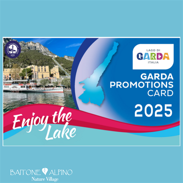 Promotion Card 2025